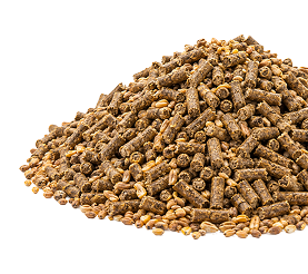 Animal feed pellets