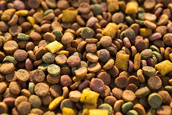 Feed ingredient